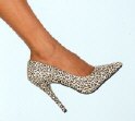 lovely_leopard_s