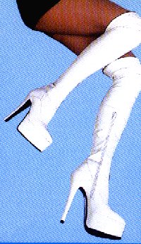 BRC307s.jpg (27466 Byte)
