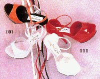 T101111s.jpg (14701 Byte)