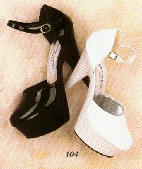 T104s.jpg (18136 Byte)