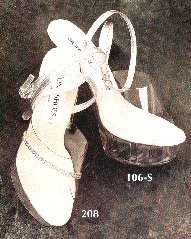 T106S208s.jpg (20666 Byte)