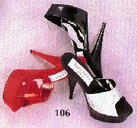 T106as.jpg (16626 Byte)