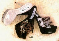 T106s.jpg (10974 Byte)