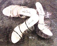 T107Cs.jpg (15406 Byte)