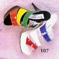 T107bs.jpg (16759 Byte)