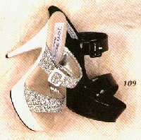 T109s.jpg (15535 Byte)