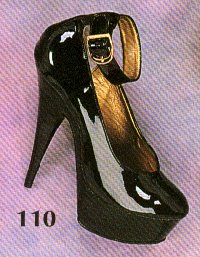 T110s.jpg (21805 Byte)