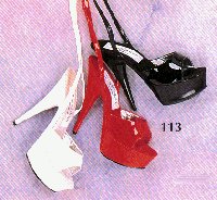 T113s.jpg (15394 Byte)