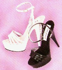 T121s.jpg (19855 Byte)