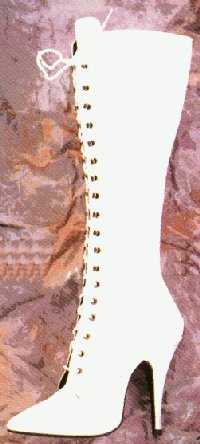 TLs.jpg (22113 Byte)
